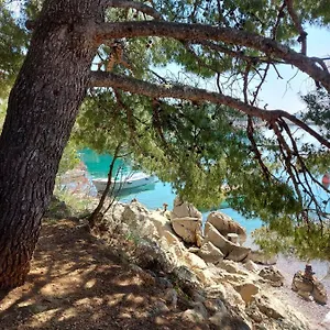 https://apartment-lorena-stari-grad.hotelinzadar.com